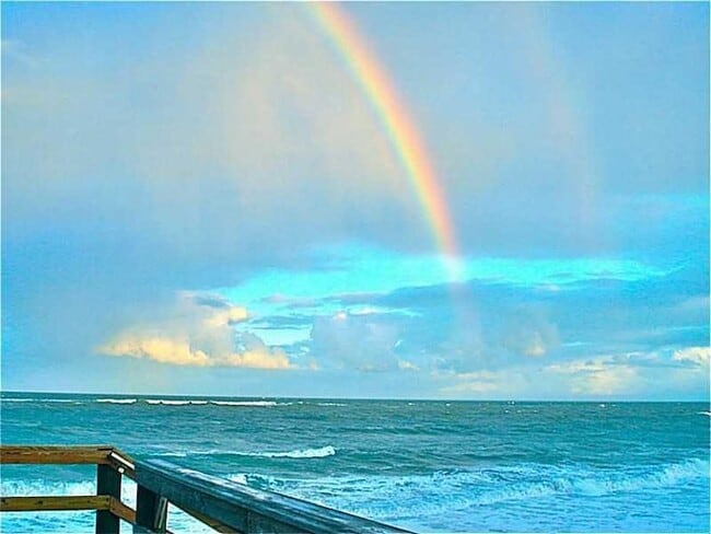 Foto del edificio - 5400 Jimmy Buffett Mem Hwy