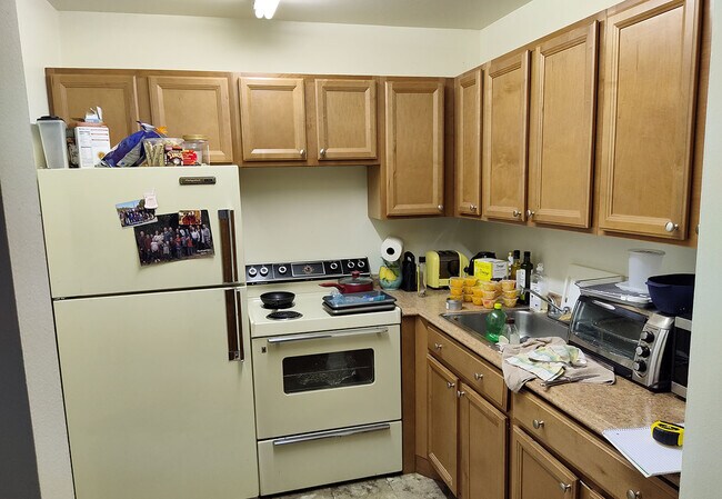 Kitchen - 134 Mansfield D