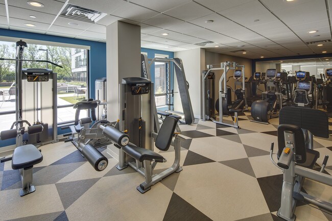 Gold S Gym Venice Beach The Best Beaches In World Gold S Gym Venice Beach The Best Beaches In World