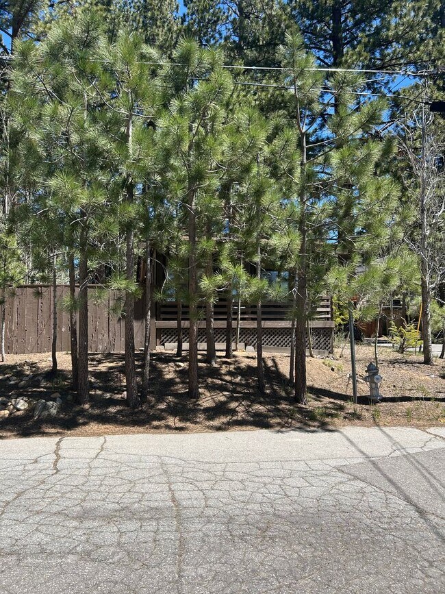 Foto del edificio - Adorable Al Tahoe ADU Cabin with Great Meadow Views!