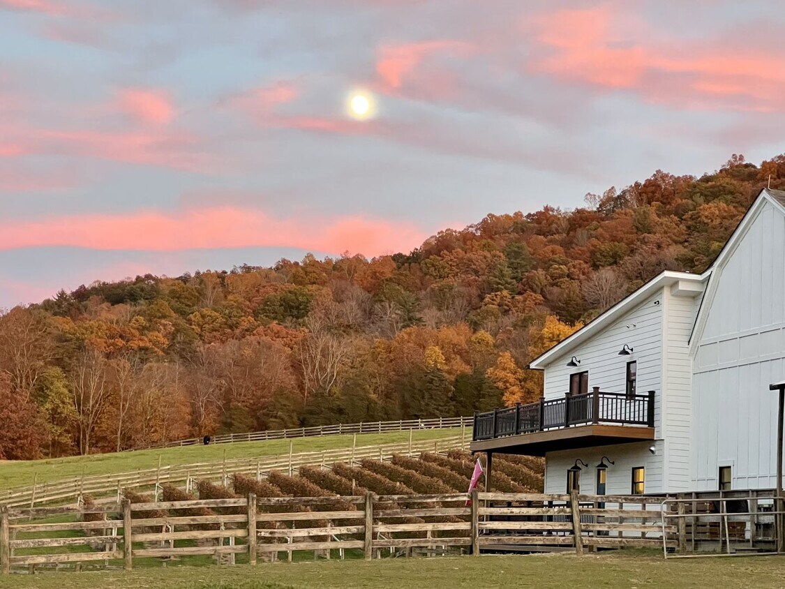 Primary Photo - Home on Beautiful Farm and Vineyard Minute...