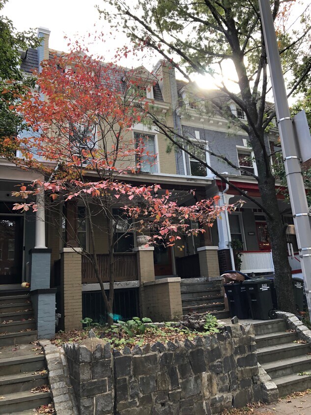 1710 Euclid St NW, Washington, DC 20009 Townhome Rentals in