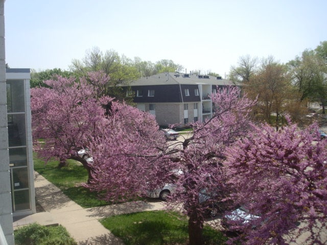 Fountain Apts - Fountain Apartments