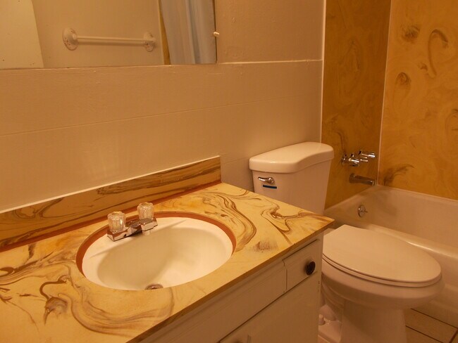 Bathroom - 505 E Fairmount Ave