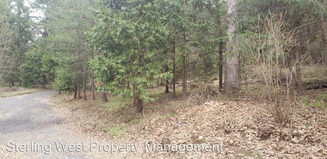 Building Photo - 3 br, 2 bath House - 4441 Thompson Creek Rd