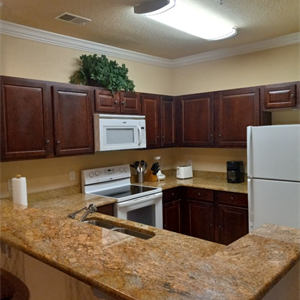 Kitchen View - 8010 Tuscany Way