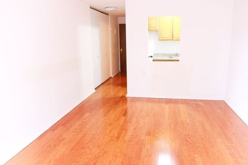 Building Photo - 254 W 51st St
