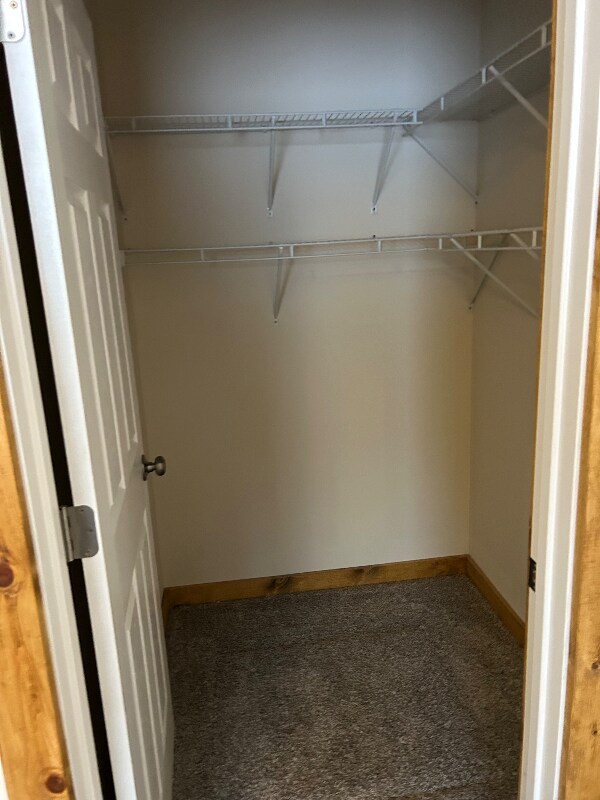 Foto del edificio - 351 W Buttercup Way