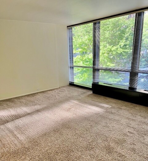 Foto del edificio - 900 N Lake Shore Dr