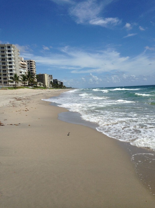 3212 S Ocean Blvd, Highland Beach, FL 33487 Condo for Rent in