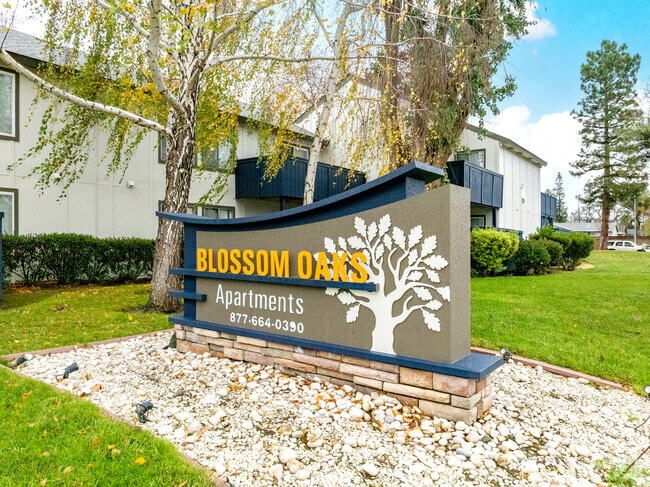 Building Photo - Blossom Oaks Apartments