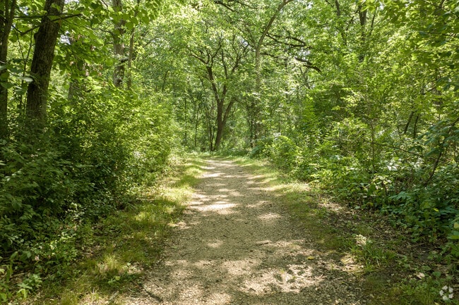 Folks can hike along the preserve’s seven miles of trails at Rush Creek Conservation Area.