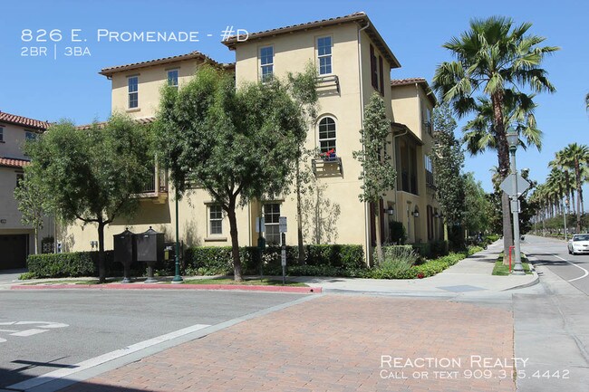 Building Photo - 826 East Promenade