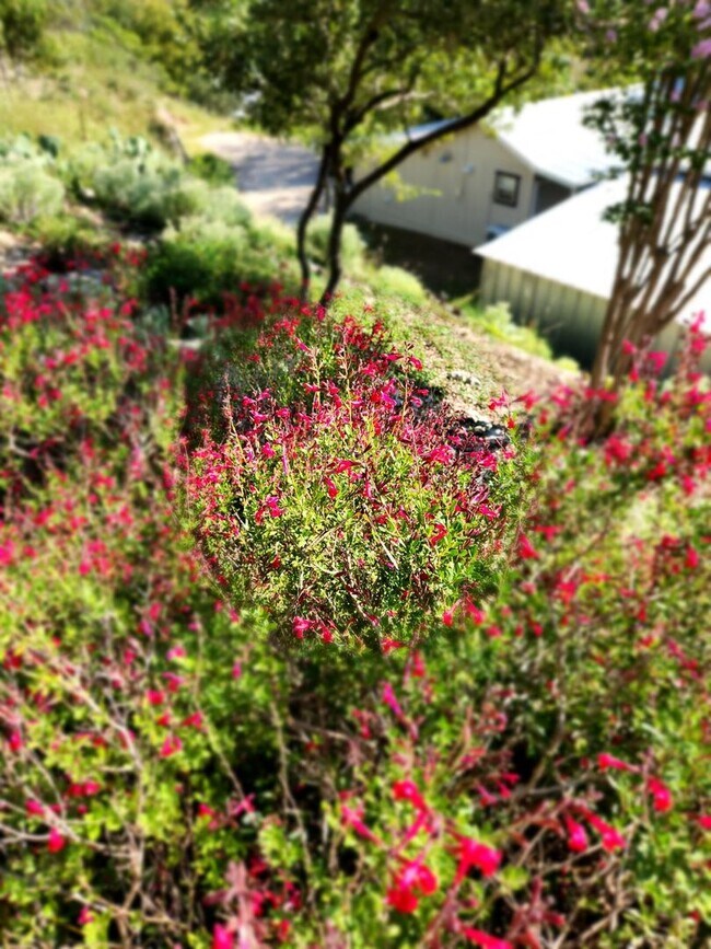 Foto del edificio - FOR LEASE!! AMAZING VIEWS