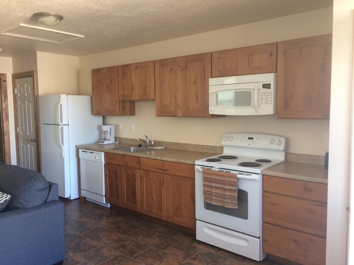 391 S Ashley Ave Unit E, Pinedale, WY 82941 Apartments in Pinedale, WY