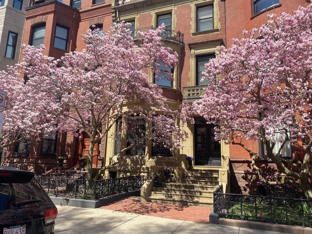 Primary Photo - 213 Commonwealth Ave