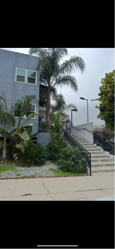 Primary Photo - 2110 Gaviota Ave