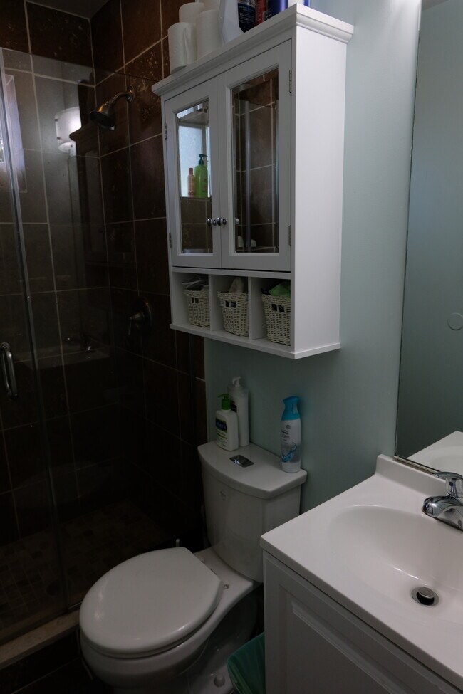 Newly installed medicine cabinet and sink. Plenty of storage and counter space. - 514 Hobart Pl NW
