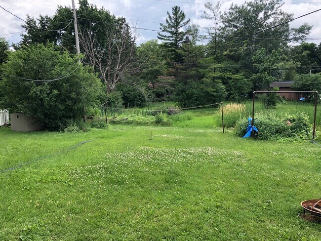 Backyard - 2020 Field St