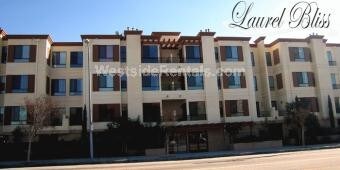 Foto principal - 6938 Laurel Canyon Blvd