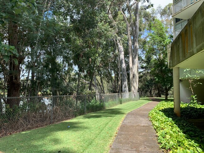 Trail by the lake - 1600 Wilikina Dr