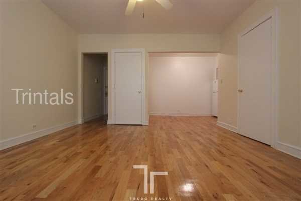 Pet Friendly Lakeview Studio Apt W Hwf Apartment For Rent In Building Photo Pet Friendly Lakeview Studio Apt W Hwf