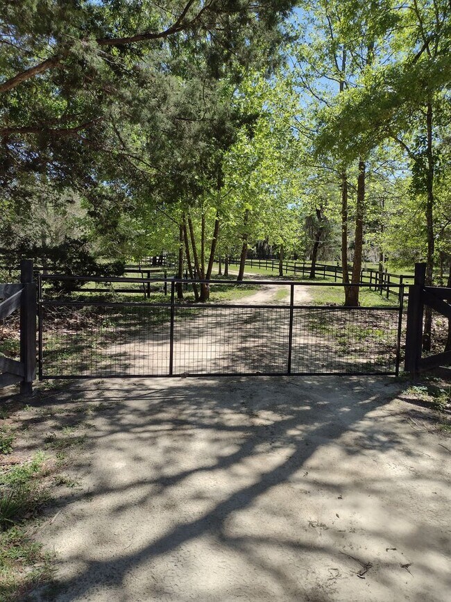 Building Photo - Bring the horses!