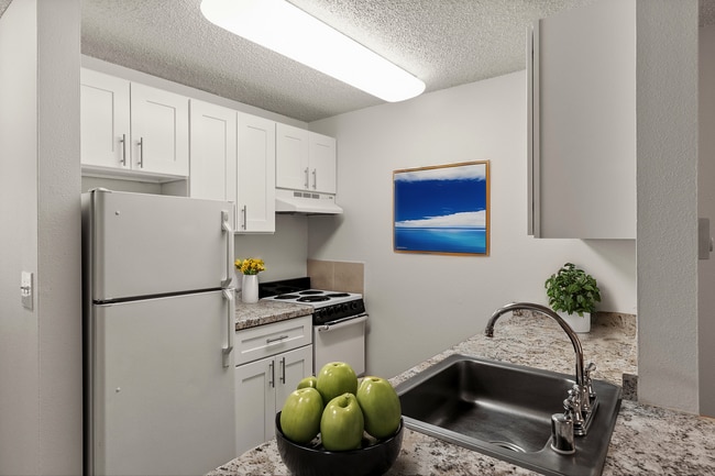Clean, updated kitchen design with modern finishes and plenty of storage. - Courtyard North Apartments