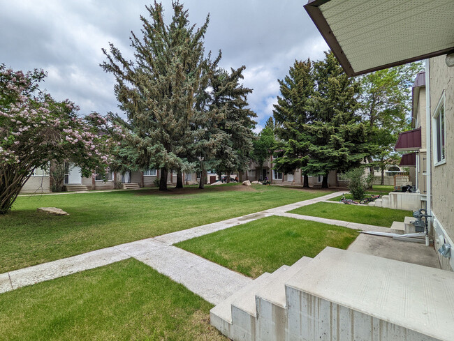 Photo du bâtiment - University Townhomes