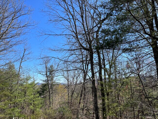 Building Photo - 35 Walking Stick Way-Saluda beauty near La...