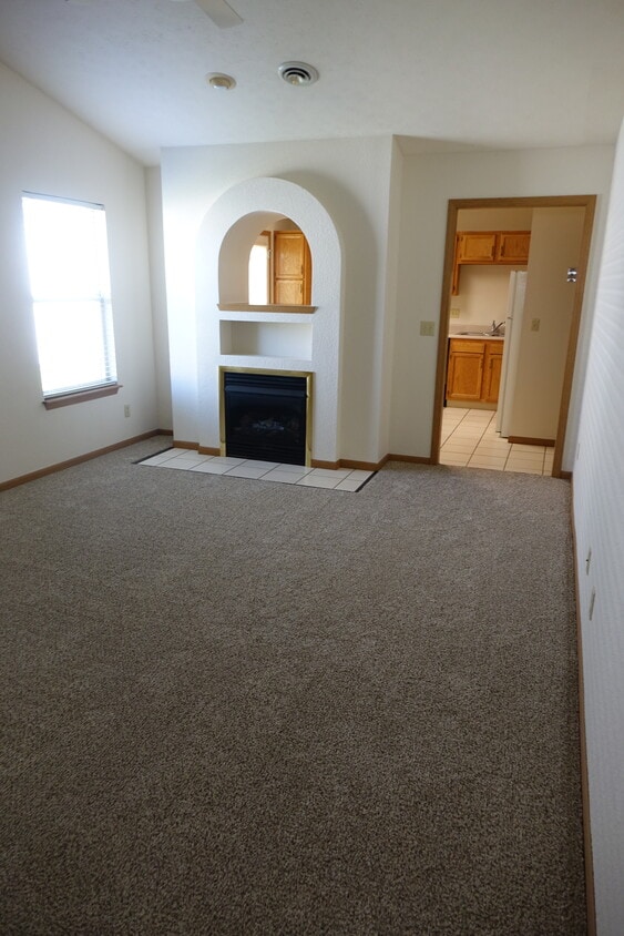 Living room - 1314 Tully Dr