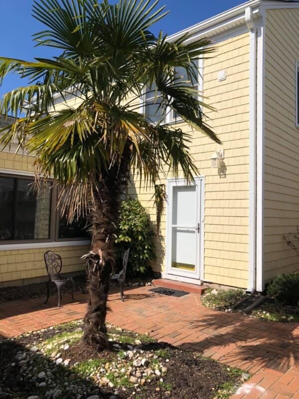 111 71st St Unit B, Virginia Beach, VA 23451 Room for Rent in