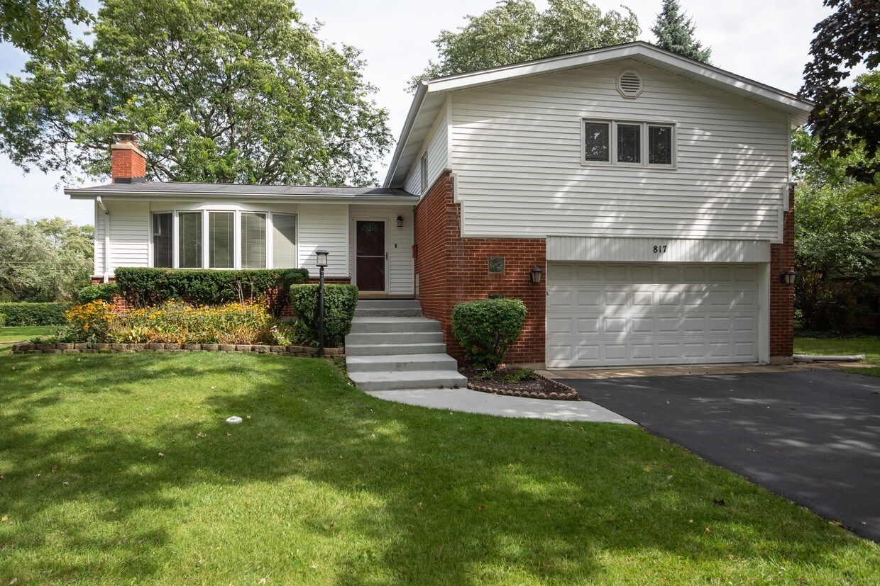 Primary Photo - 817 Castlewood Ln