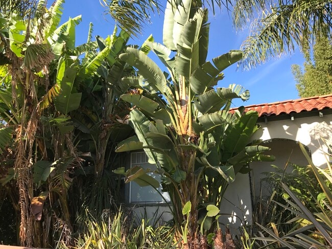 Building Photo - 1057 E Main St