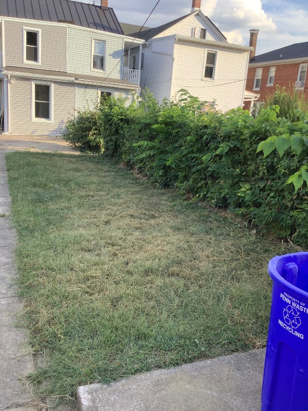 Foto del edificio - 407 Herman Ave