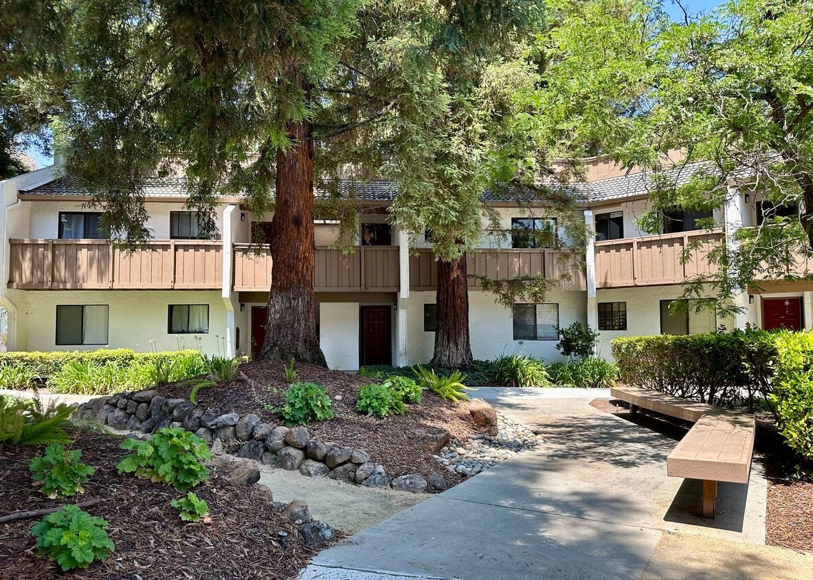 Beautiful Santa Clara Condo Two Bedrooms ... - Beautiful Santa Clara Condo  Two Bedrooms ...