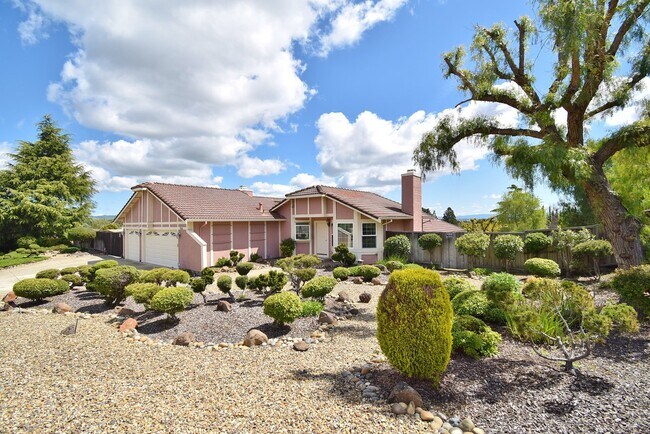 Building Photo - Beautiful West Dublin Home with Spectacula...