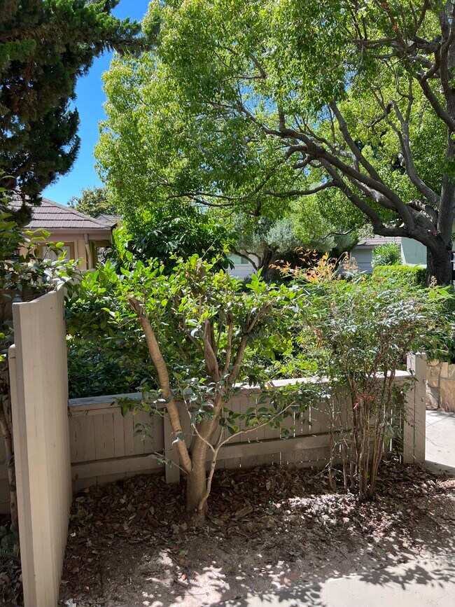 Building Photo - 331 Moreton Bay Ln