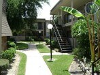 Foto principal - 5310 Lost Forest Dr