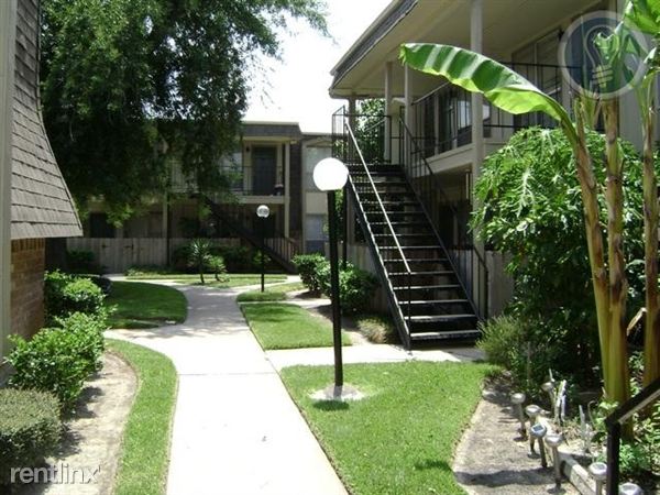 Primary Photo - 5310 Lost Forest Dr