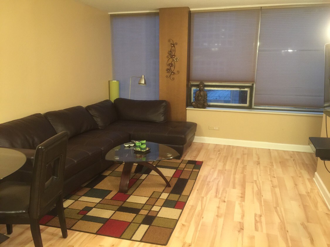 Living Room - 233 E Erie St