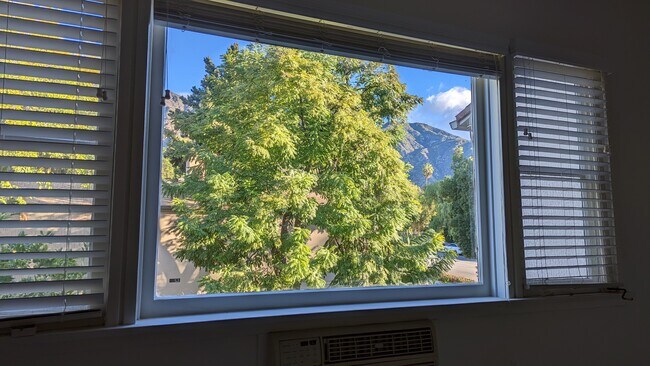 Living Room Window - 209 N Baldwin Ave