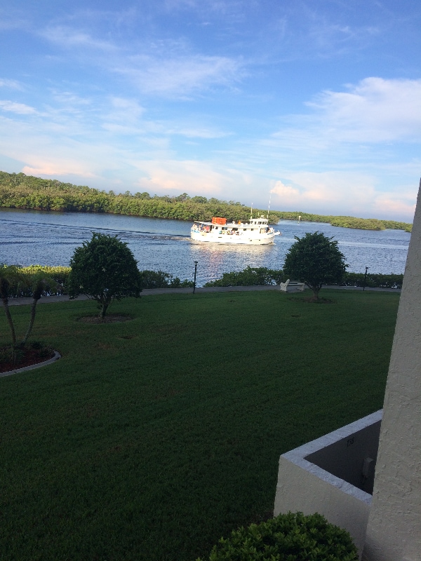 8150 Brent St Unit 714, Port Richey, FL 34668 Condo for Rent in Port