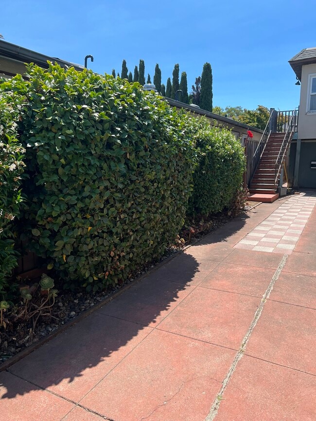 Building Photo - 1279 California Dr