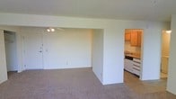 This single-floor space offers a straightforward, functional layout designed for comfortable everyday living. The main living area features neutral-toned wall-to-wall carpeting, creating a warm and cohesive feel throughout. Smooth white walls and a ceiling fan with a built-in light fixture provide both practicality and subtle style to the open space. A standard entry door with a deadbolt leads directly into the living area, offering convenient access.

A partial partition wall separates the living space from the kitchen, maintaining an open, connected feel while defining each zone. The kitchen transitions to tile flooring and is outfitted with light natural wood cabinetry offering ample storage. White appliances, including a dishwasher and stovetop, are neatly integrated beneath a range hood. A single basin sink sits beneath the upper cabinetry, completing a clean and efficient workspace. The overall palette of whites and neutrals throughout the space creates a bright, clean ambiance, making it a versatile canvas ready for personalization.