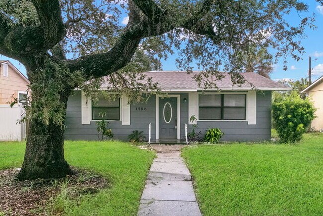 Building Photo - NEWLY RENOVATED Home For Rent in St Petersburg!