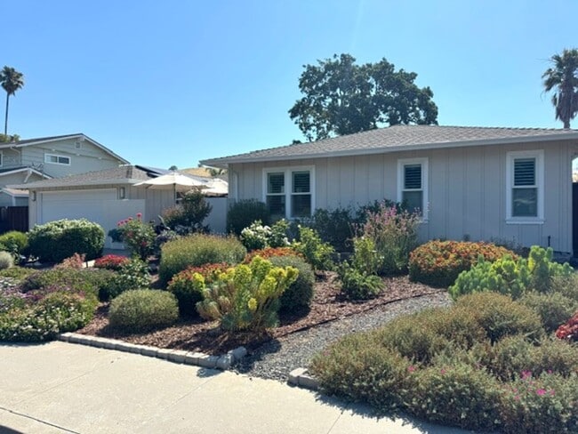 Building Photo - Beautiful 3 bedroom, 2 bath single level home in the Woodlands-Walnut Creek