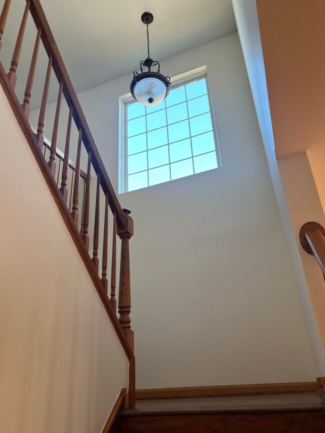 Building Photo - 224 Williamsburg Ct