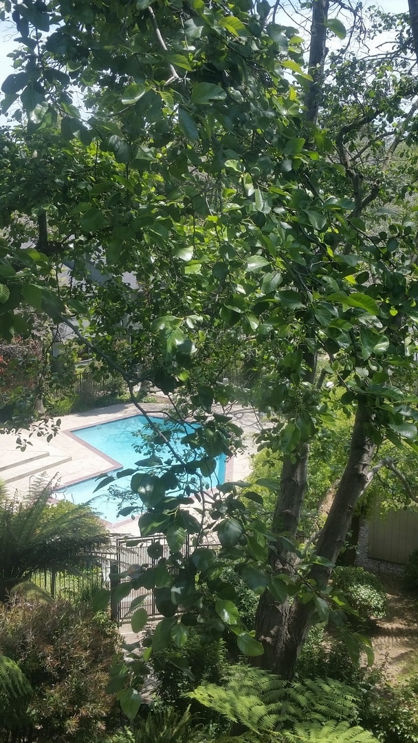 Foto del edificio - MOVE-IN READY! Peaceful 1-Bedroom Top Floo...