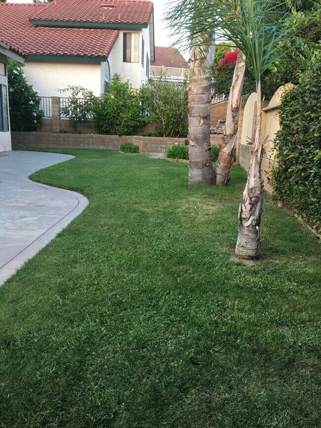Foto del edificio - 1371 Beringer Ln